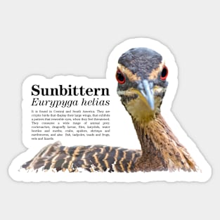 Sunbittern torpical bird black text Sticker